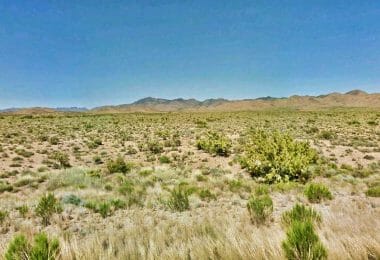 Yucca Road, Dolan Springs, AZ 86441